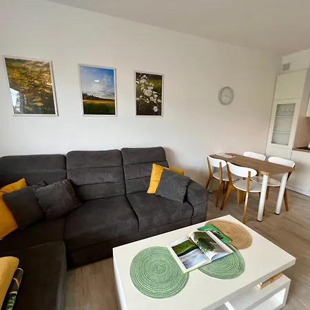 Apartment Artystyczna Przestrzen - Marina *